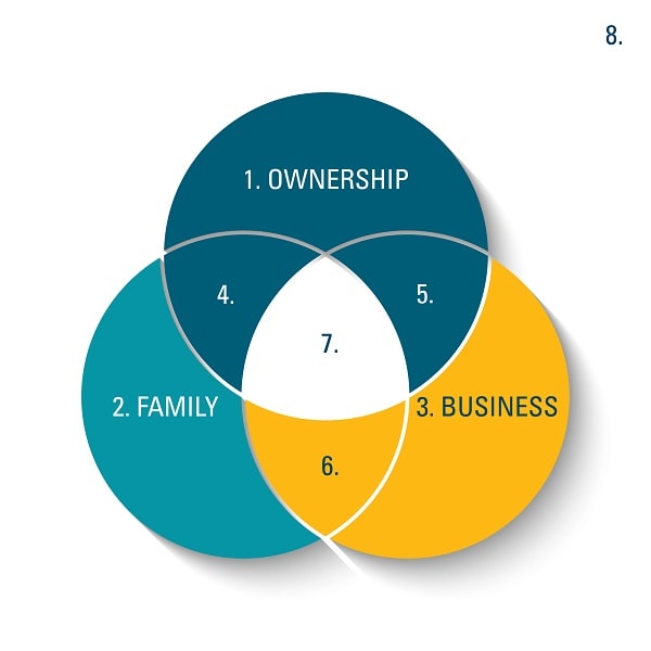 Family businesses are complex. Our infographic outlines the different systems involved. Where do you fit?